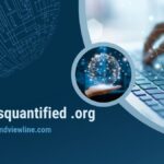 www disquantified .org