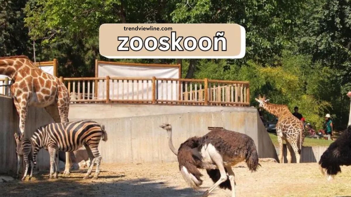 Zooskooñ