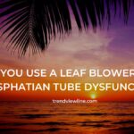 Can you use a leaf blower with eusphatian tube dysfunction